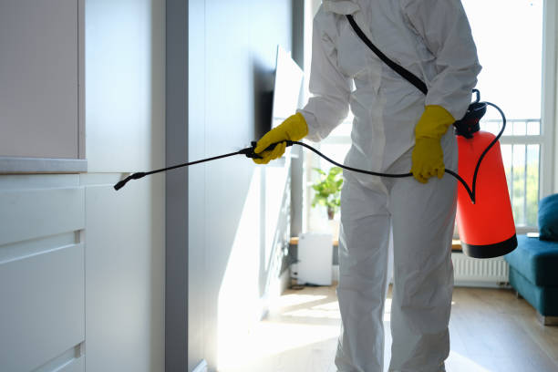 Office Mold Removal Services in Ama, LA