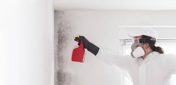 Best Crawl Space Mold Removal  in Ama, LA