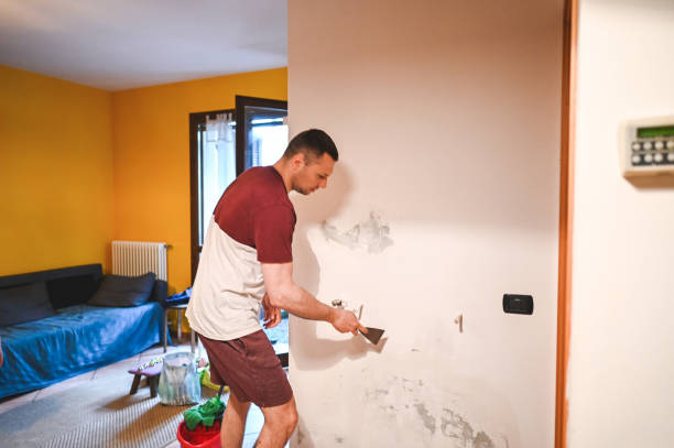 Best Mold Remediation  in Ama, LA